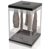 Biltong King Biltong Maker **FREE SHIPPING**
