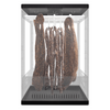 Biltong King Biltong Maker **FREE SHIPPING**
