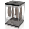 Biltong Maker plus 1kg Safari Biltong Spice